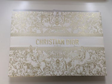 ディオール アディクト リップ マキシマイザー 049 ピュア コッパー（ホリデー 2023 数量限定色）/Dior/リップグロスの画像