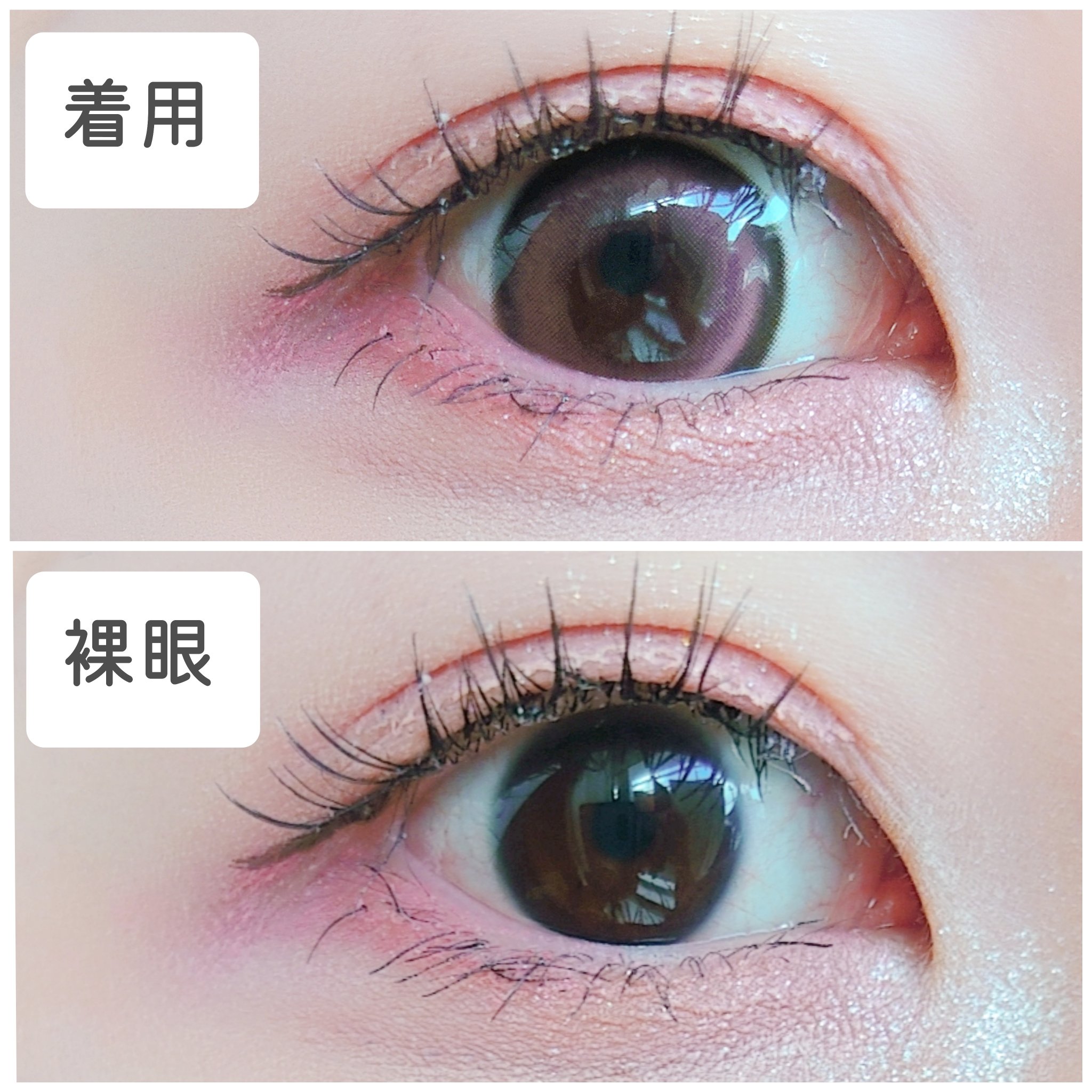 secretcandymagic 1day(シークレットキャンディーマジック）/secret candymagic/ワンデー（１DAY）カラコンを使ったクチコミ（3枚目）