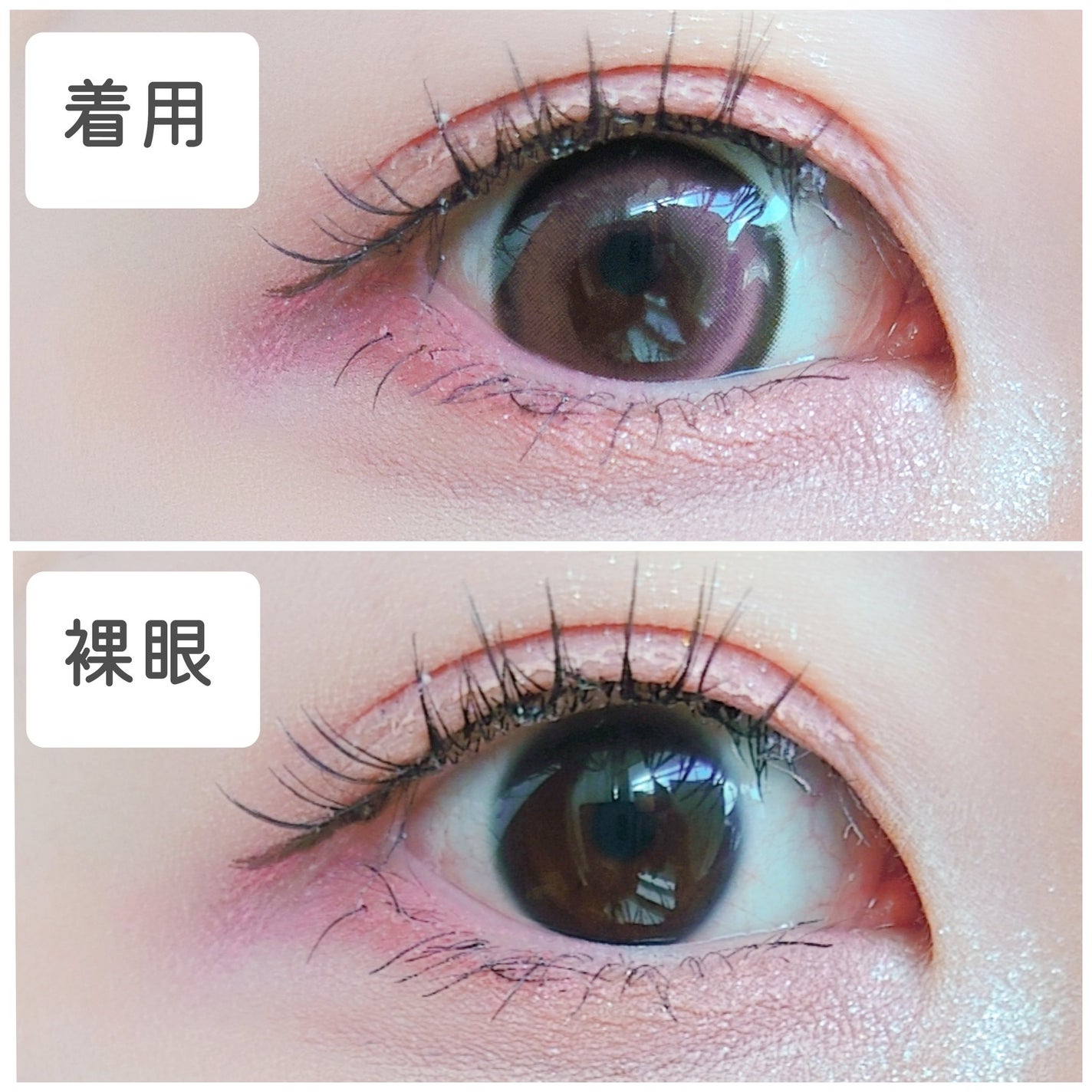 secretcandymagic 1day(シークレットキャンディーマジック)/secret candymagic/ワンデー(1DAY)カラコンを使ったクチコミ(3枚目)