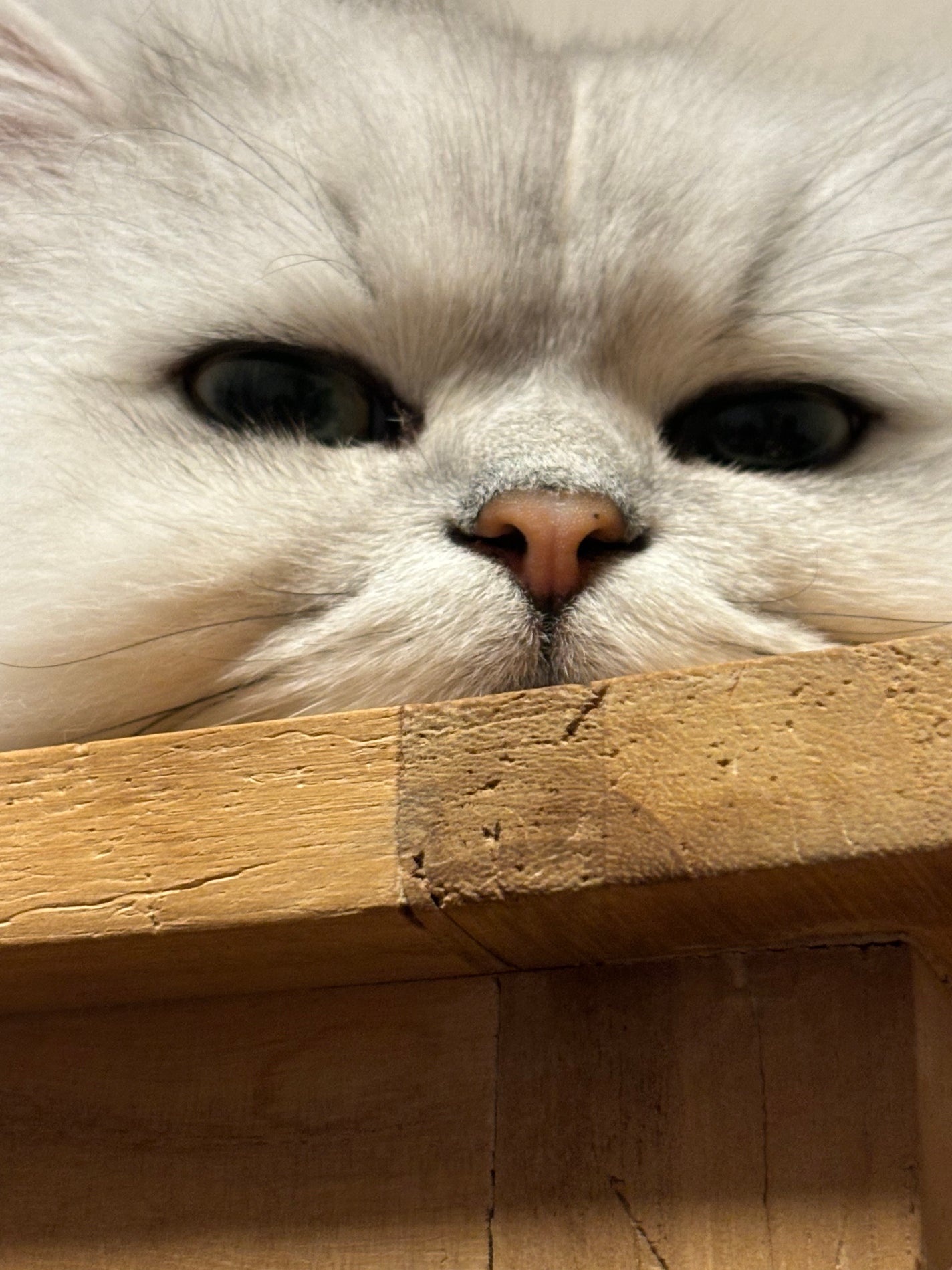 薬用ブライトニング化粧水/無印良品/化粧水を使ったクチコミ(1枚目)