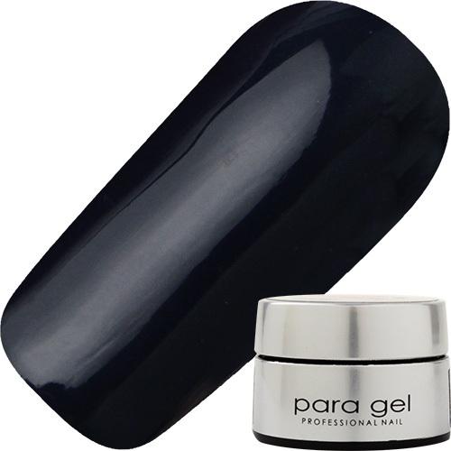 パラジェル DD05 ダークネイビー