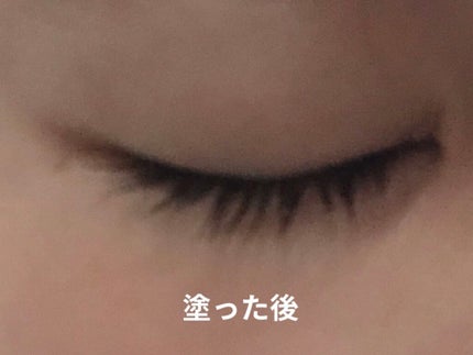 まつげ美容液EX/CEZANNE/まつげ美容液を使ったクチコミ(9枚目)