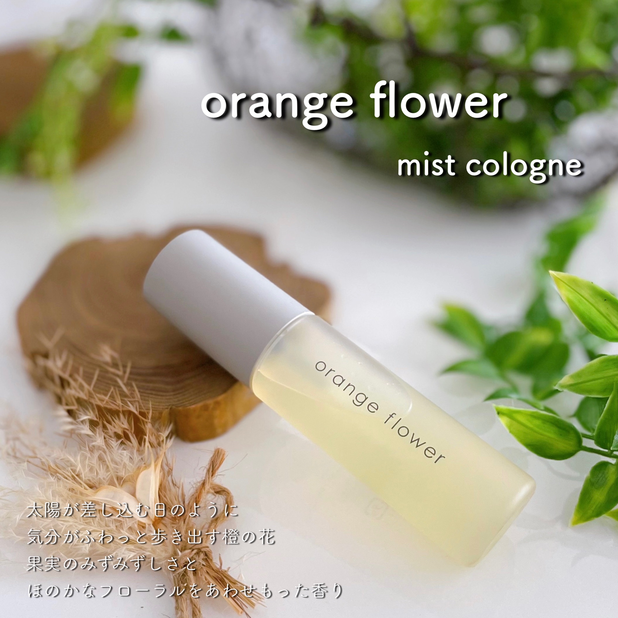 オレンジフラワーミストコロン/生活の木/香水(その他)を使ったクチコミ（1枚目）
