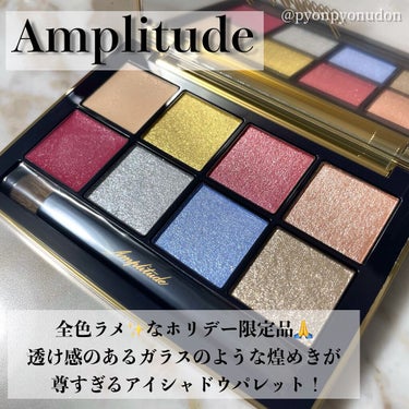 アイカラーパレット リミテッドコレクションa/Amplitude/アイシャドウパレットを使ったクチコミ（1枚目）