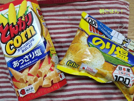 りんりん on LIPS 「みなさんこんにちは!ダイエット中のりんりんだよ〜今日は家から出..」(4枚目)