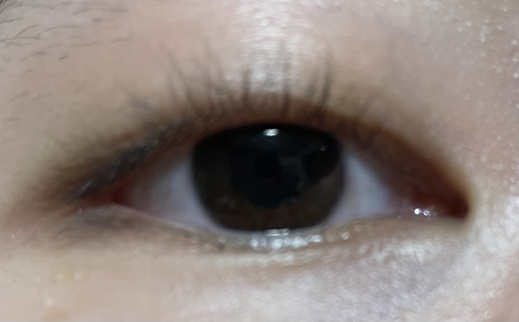 ラッシュジェリードロップ　ＥＸ/MAJOLICA MAJORCA/まつげ美容液を使ったクチコミ（1枚目）