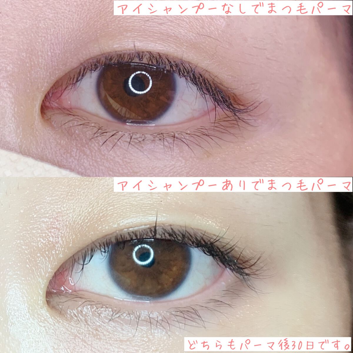 こぽり on LIPS 「✨まつ毛パーマすぐ落ちちゃう方見てほしい🥹こんにちはーこぽりで..」(3枚目)