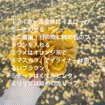 アディクション ザ アイシャドウ/ADDICTION/単色アイシャドウを使ったクチコミ(2枚目)