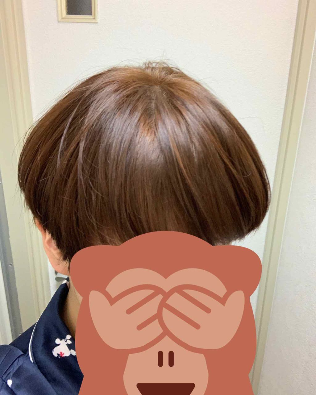 ホイップヘアカラー/ビューティラボ/ヘアカラーを使ったクチコミ（3枚目）