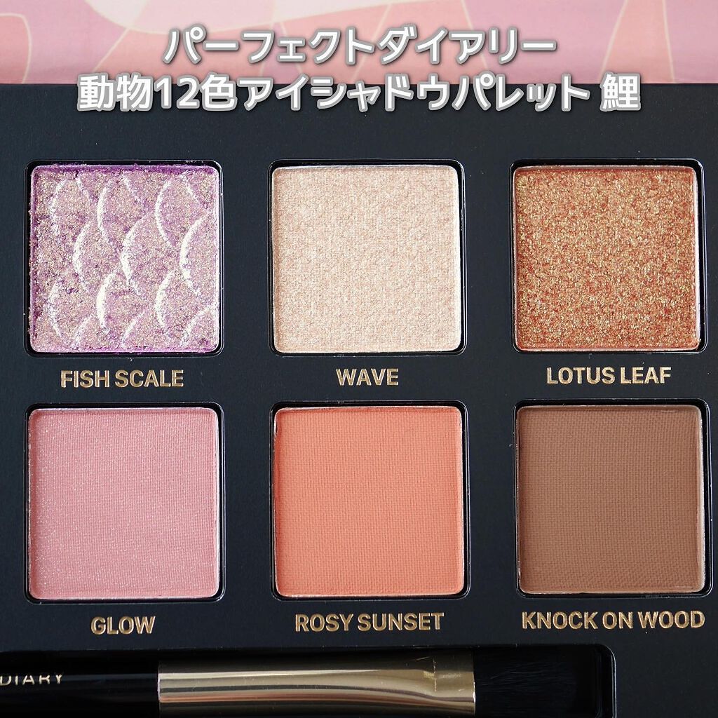エクスプローラ12色 動物アイシャドウパレット/PERFECT DIARY/アイシャドウパレットを使ったクチコミ(7枚目)