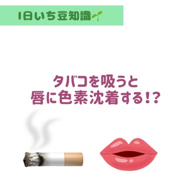 しろくま【フォロバ100】 on LIPS 「【色素沈着】タバコを吸うと唇が色素沈着するってほんと！？..」（1枚目）