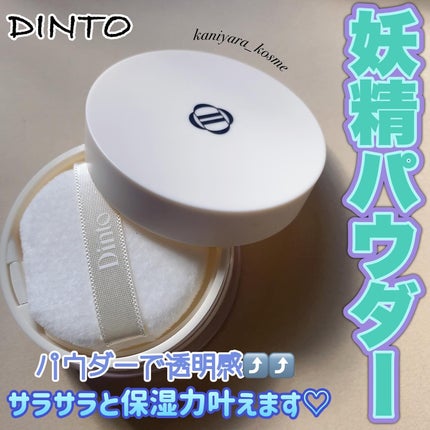 ピクシーダスト ルースパウダー フィニッシュパウダー /Dinto/ルースパウダーを使ったクチコミ(1枚目)