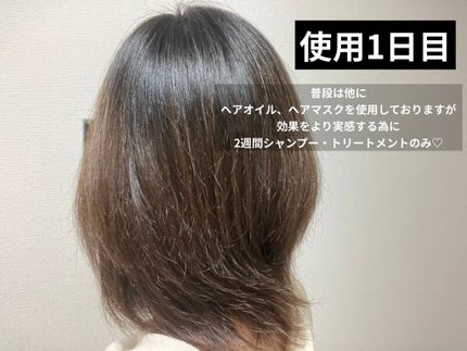 ボタニカル シャンプー/ヘアコンディショナー(スムース) /ビオリス ヴィーガニー/市販シャンプーを使ったクチコミ(2枚目)