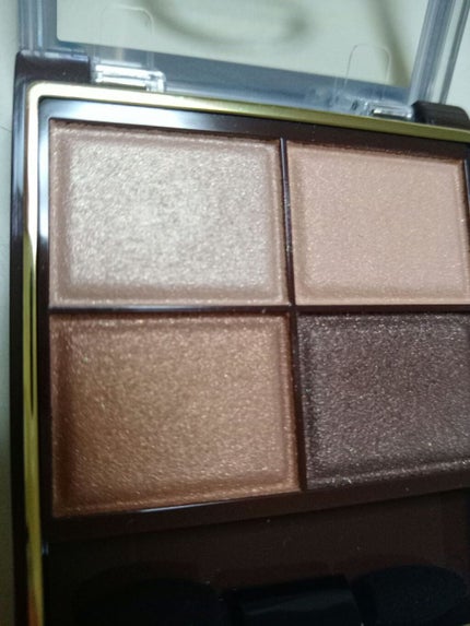 スキニーリッチシャドウ/excel/アイシャドウパレットを使ったクチコミ(2枚目)