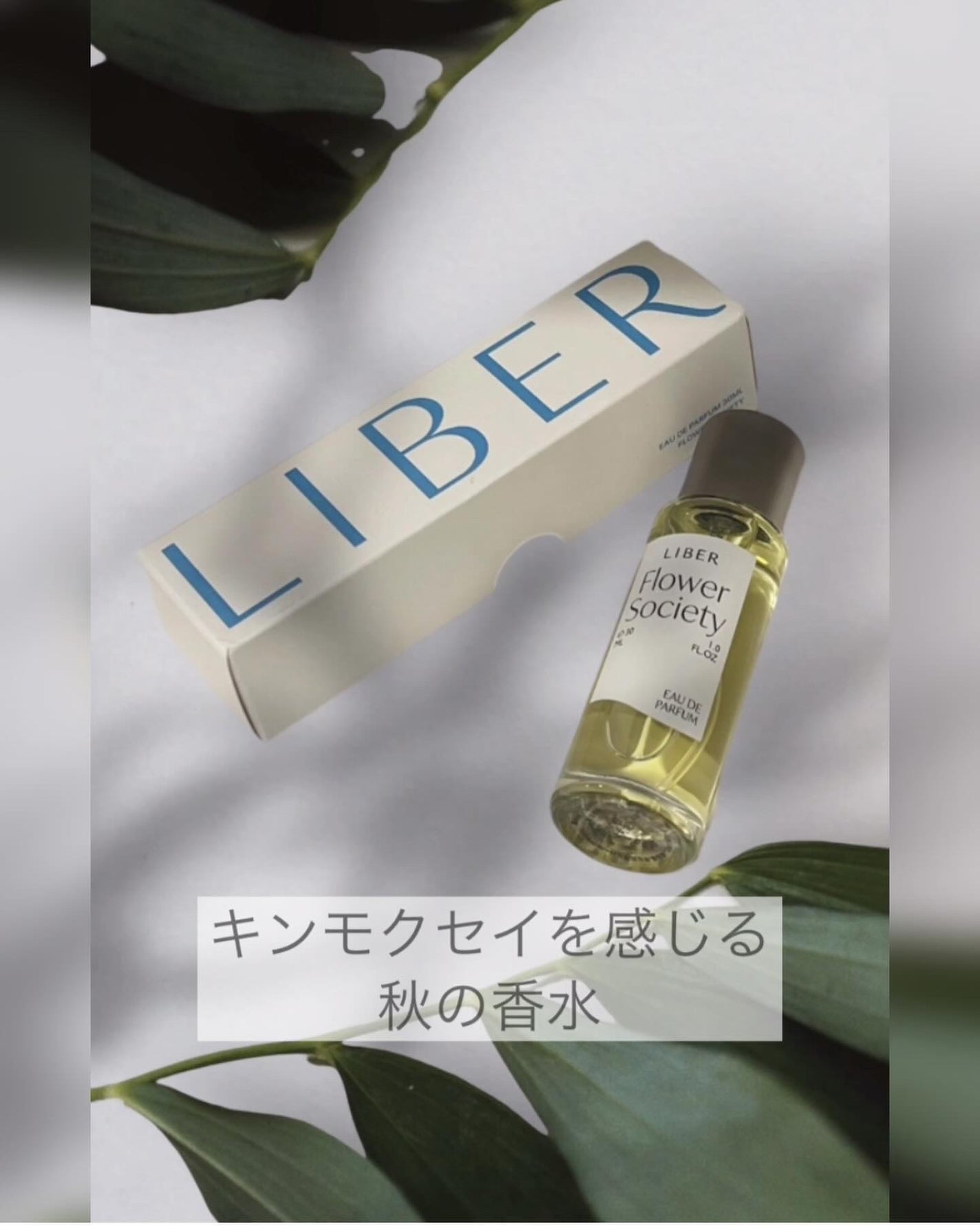 ok.mama33 on LIPS 「韓国で大人気のLIBERオードパルファムフラワーソサエティため..」(7枚目)