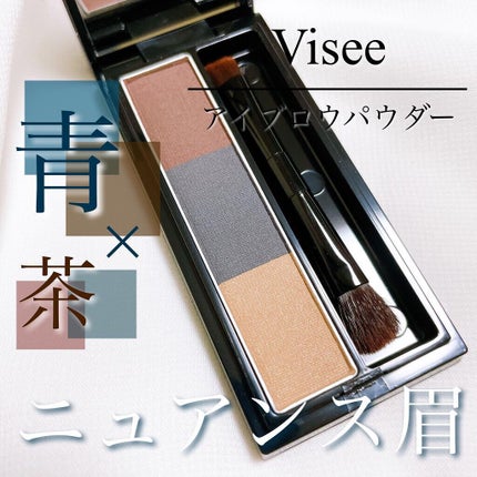 ヴィセ リシェ アイブロウパウダー/Visée/パウダーアイブロウを使ったクチコミ(1枚目)