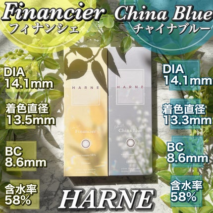 HARNE 1day/HARNE/ワンデー(1DAY)カラコンを使ったクチコミ(4枚目)