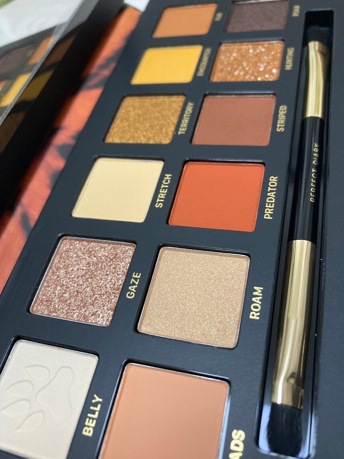 エクスプローラ12色 動物アイシャドウパレット/PERFECT DIARY/アイシャドウパレットを使ったクチコミ(4枚目)