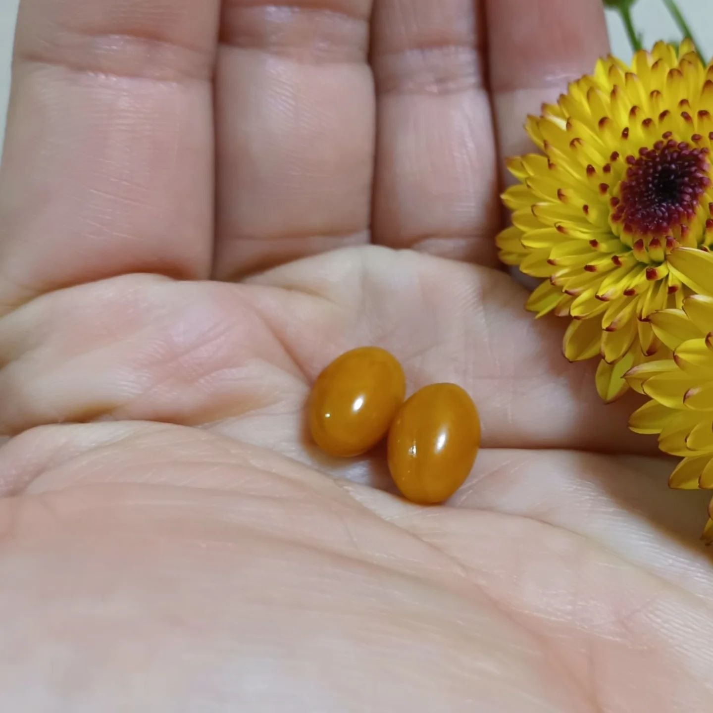 プラセンタ100コア レギュラーサイズ/ステファニー/美容サプリメントを使ったクチコミ（3枚目）