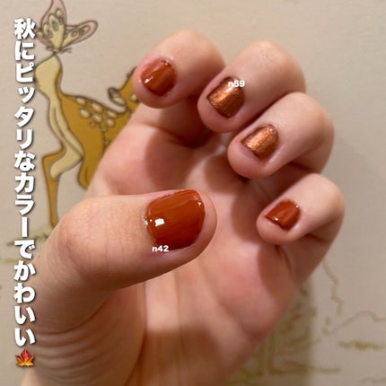 カラフルネイルズ N59 カッパーブラウン/キャンメイク/マニキュアを使ったクチコミ(2枚目)