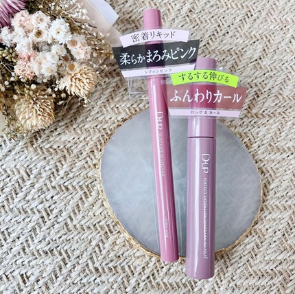 ããŒãã§ã¯ããšã¯ã¹ãã³ã·ã§ã³ ãã¹ã«ã© for ã«ãŒã«/D-UP/ãã¹ã«ã©ã䜿ã£ãã¯ãã³ãïŒ8æç®ïŒ