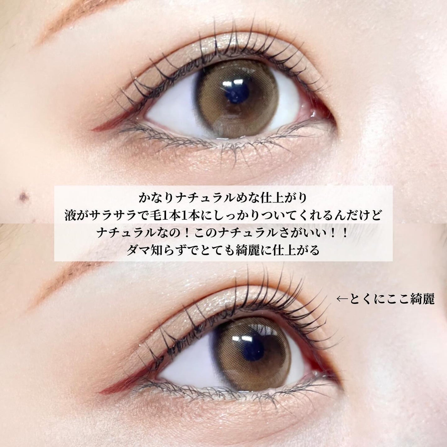 ブラックラッシュブースターセラム/ENTROPY/まつげ美容液を使ったクチコミ(4枚目)