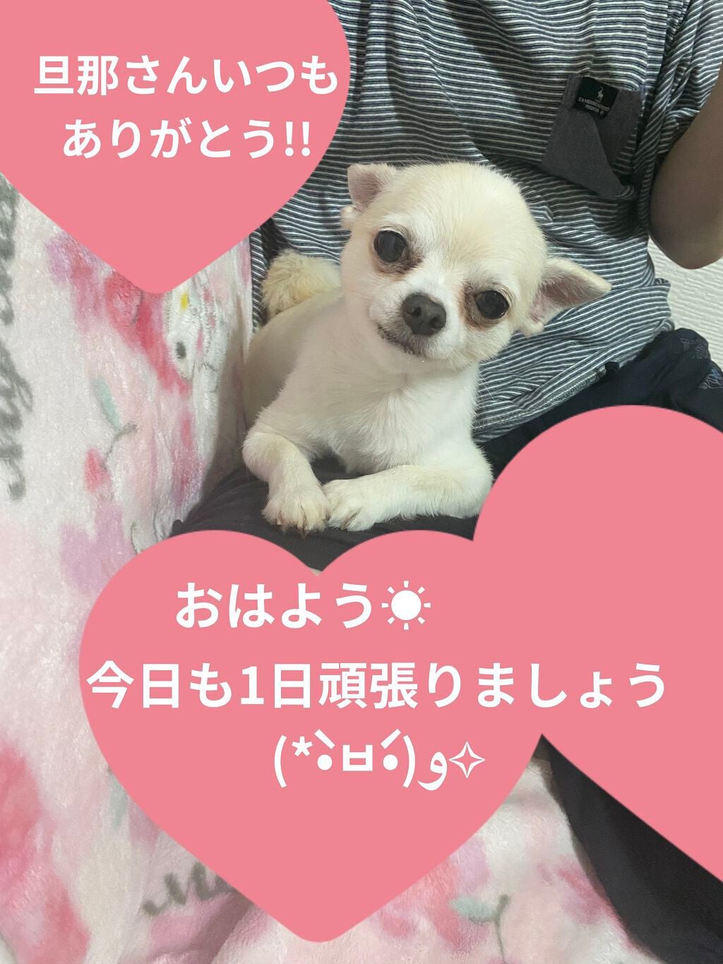 ソレイユ アイ カラー クォード/TOM FORD BEAUTY/アイシャドウパレットを使ったクチコミ(9枚目)