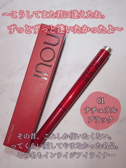 ジ アイライナー/INOUI/リキッドアイライナーを使ったクチコミ(1枚目)