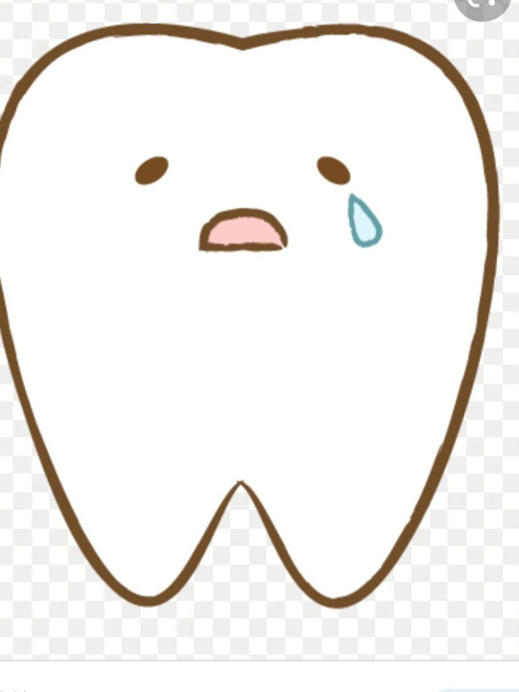 セッチマ はみがきスペシャル/セッチマ/歯磨き粉を使ったクチコミ(1枚目)