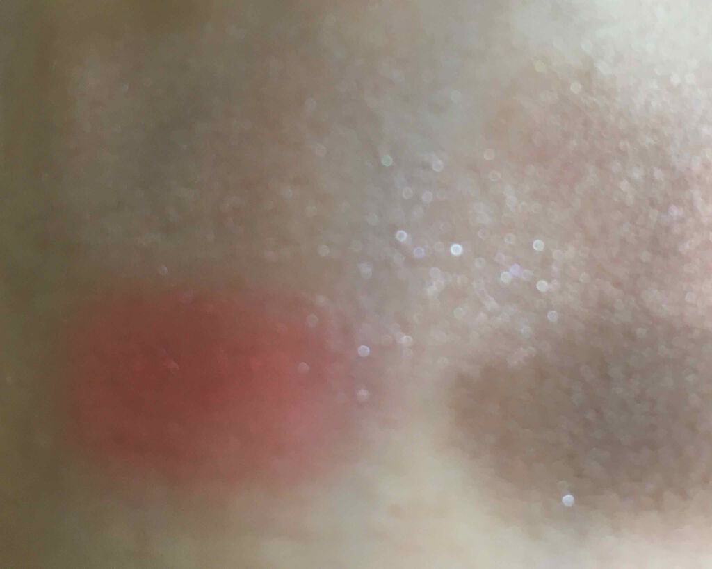 【旧品】パーフェクトスタイリストアイズ/キャンメイク/アイシャドウパレットを使ったクチコミ(2枚目)