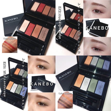 レイヤードカラーズアイシャドウ/KANEBO/アイシャドウパレットを使ったクチコミ(7枚目)