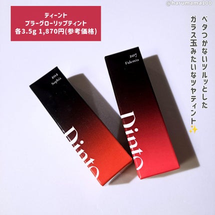 ブラーグロイリップティント 207 フィデンティア/Dinto/リップティントを使ったクチコミ(2枚目)