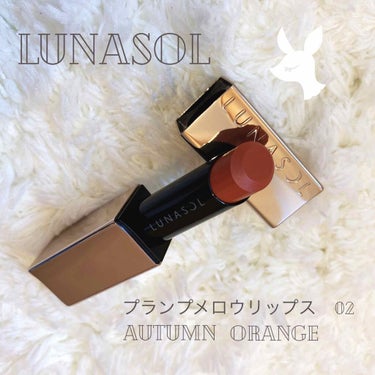 プランプメロウリップス/LUNASOL/口紅を使ったクチコミ（1枚目）