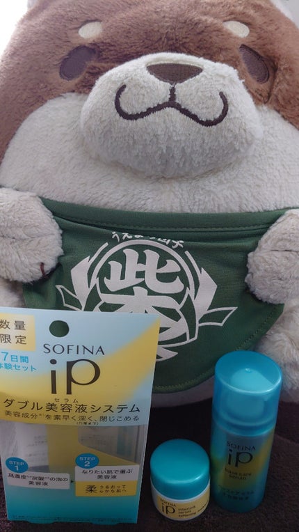 ベースケア セラム<土台美容液>/SOFINA iP/美容液を使ったクチコミ(1枚目)