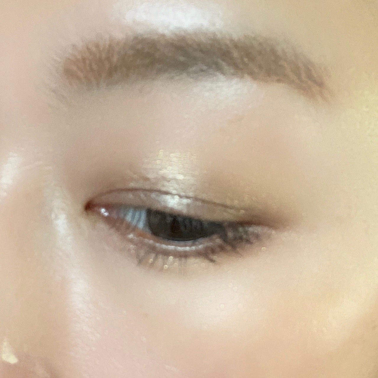 パノラマデザイン アイパレット/Visée/アイシャドウパレットを使ったクチコミ(8枚目)