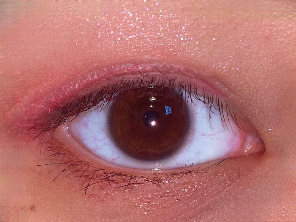 レトロマグネティック アイシャドウパレット/FlowerKnows/アイシャドウパレットを使ったクチコミ（3枚目）