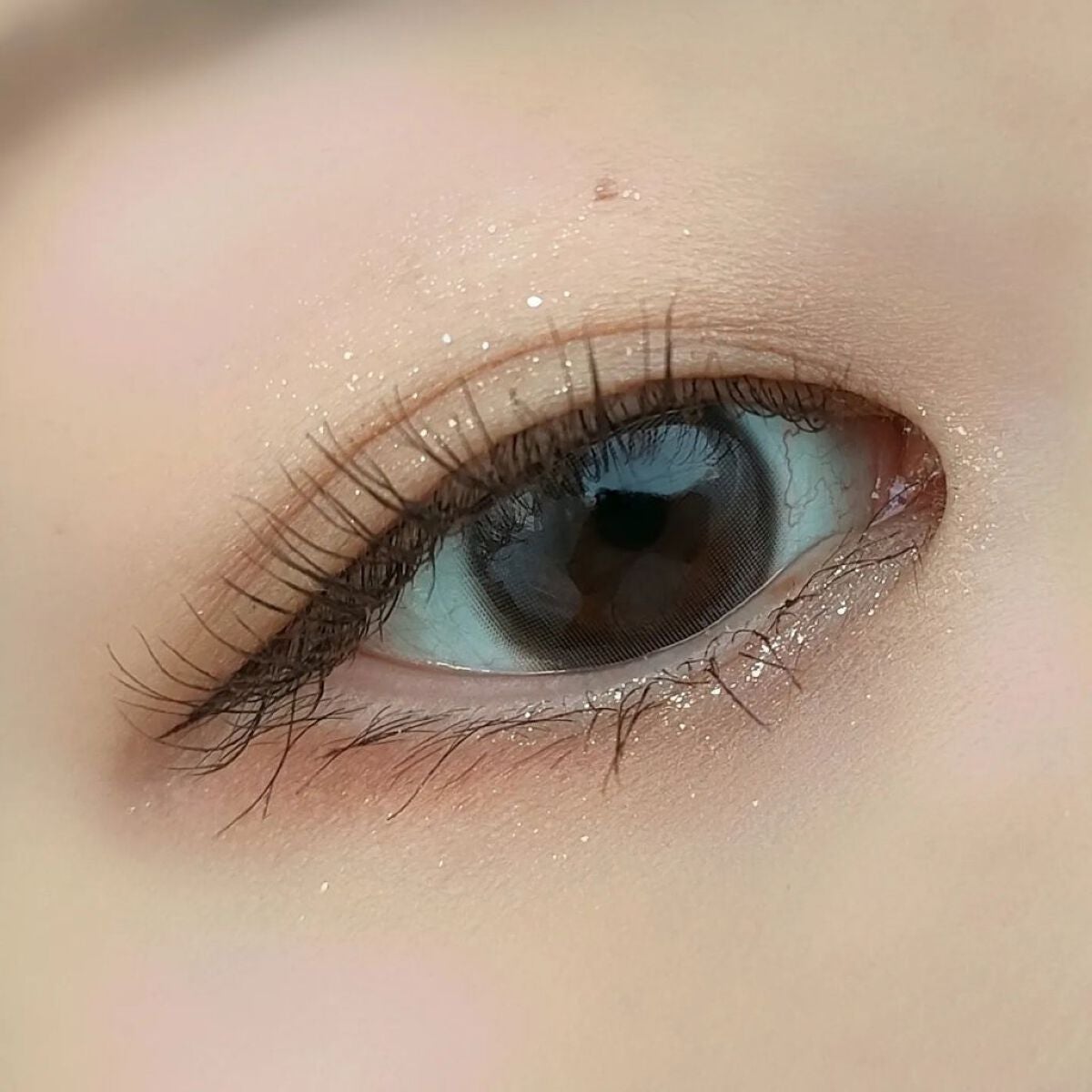 アニマルアイシャドウ(4シェード)/ZEESEA/アイシャドウパレットを使ったクチコミ(5枚目)