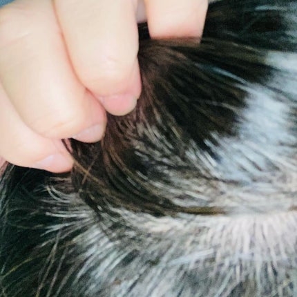 ナチュラルエアリーカラー /HAIRICHE/ヘアカラーを使ったクチコミ(7枚目)