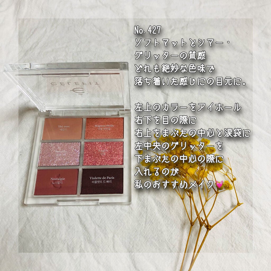 プロアイシャドウパレットセシル/CELEFIT/アイシャドウパレットを使ったクチコミ(2枚目)