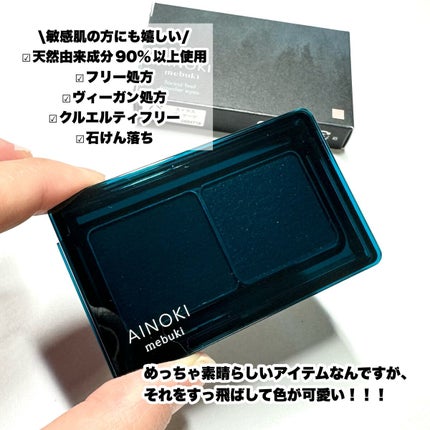 フォレスト フィール パウダー アイズ/AINOKI mebuki/アイシャドウパレットを使ったクチコミ(3枚目)