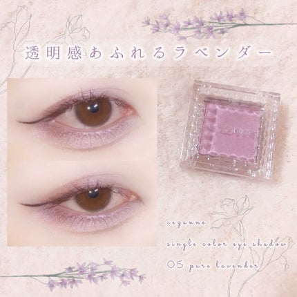 シングルカラーアイシャドウ/CEZANNE/単色アイシャドウを使ったクチコミ(1枚目)