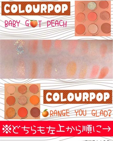 ORANGE YOU GLAD/ColourPop/アイシャドウパレットを使ったクチコミ（2枚目）