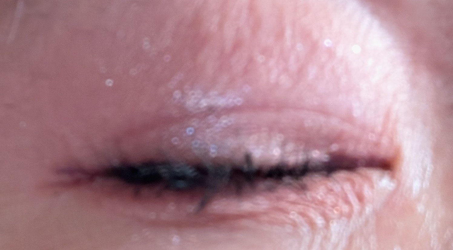 ムードオンアイシャドウ/Lilytone/アイシャドウパレットを使ったクチコミ（3枚目）