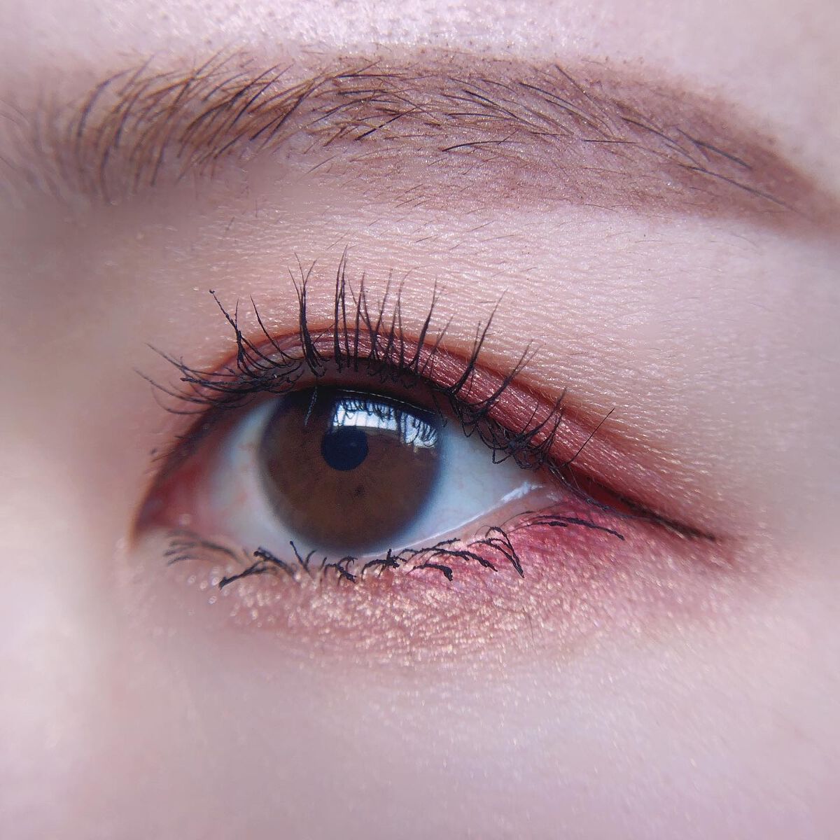 あゆみ on LIPS 「・\#todaysmake/・アイシャドウ☑@meltcosm..」(3枚目)