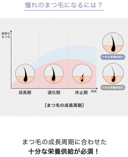 スカルプD ボーテ ピュアフリーアイラッシュセラム/アンファー(スカルプD)/まつげ美容液を使ったクチコミ(5枚目)