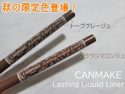 ラスティングリキッドライナー/キャンメイク/リキッドアイライナーを使ったクチコミ(1枚目)