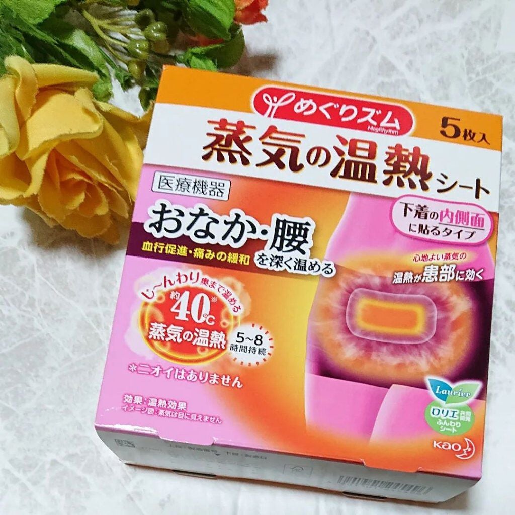 蒸気の温熱シート 下着の内側面に貼るタイプ/めぐりズム/その他を使ったクチコミ(1枚目)