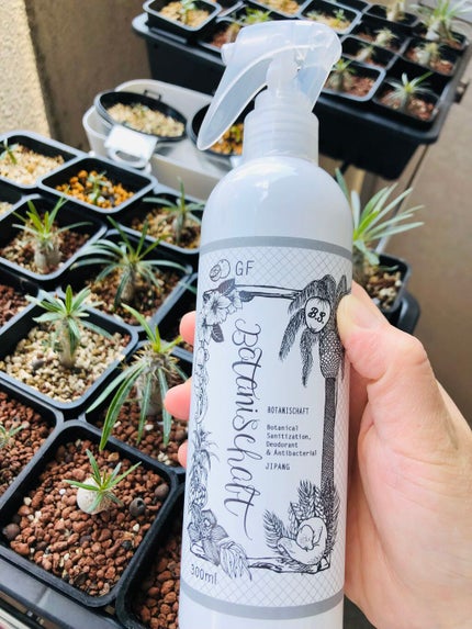 ボタニシャフト 植物性除菌消臭剤スプレー グレープフルーツの香り/BOTANISCHAFT/その他を使ったクチコミ(2枚目)