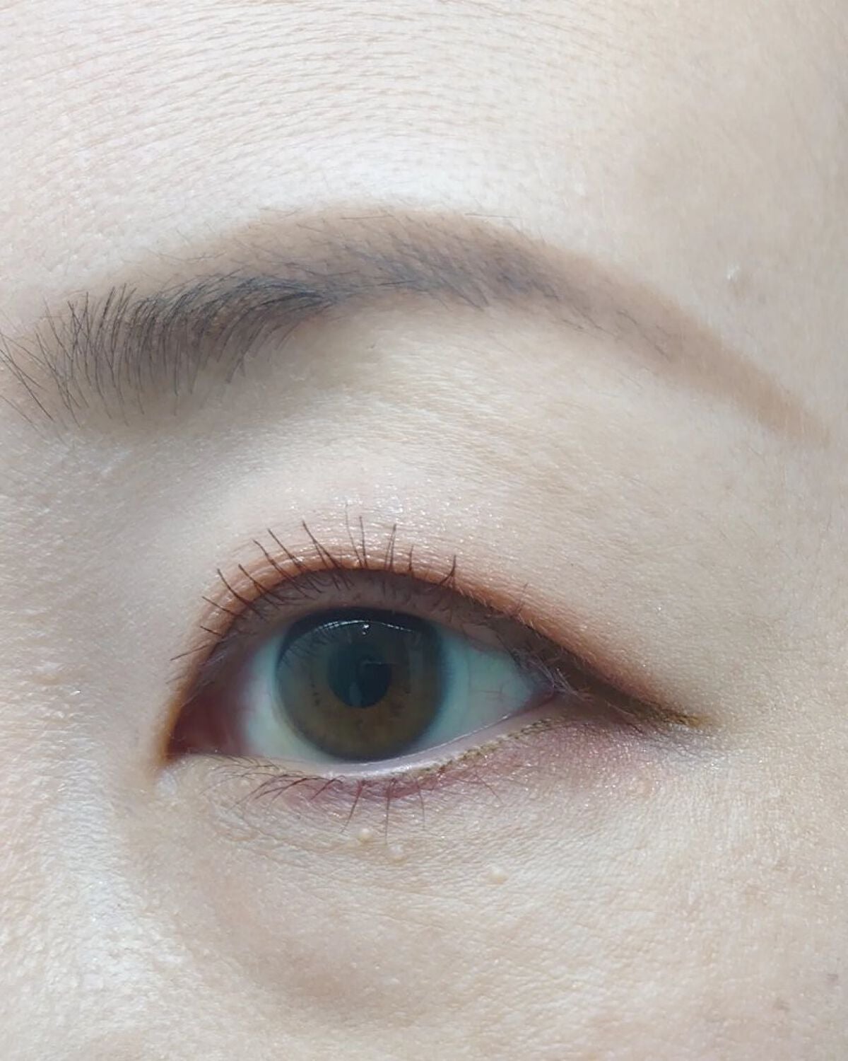 アイカラーパレット/heme/アイシャドウパレットを使ったクチコミ(5枚目)