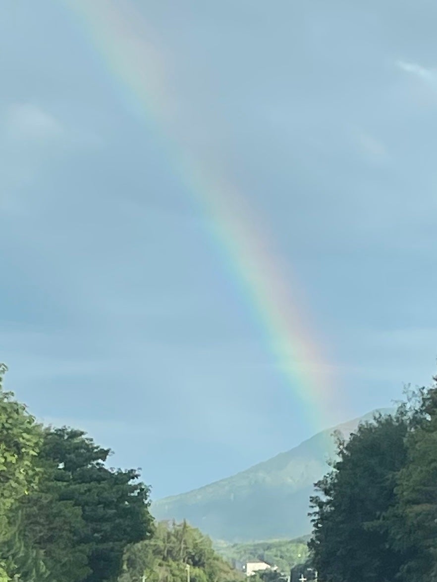 マスク フィット レッド クッション/TIRTIR(ティルティル)/クッションファンデーションを使ったクチコミ(7枚目)